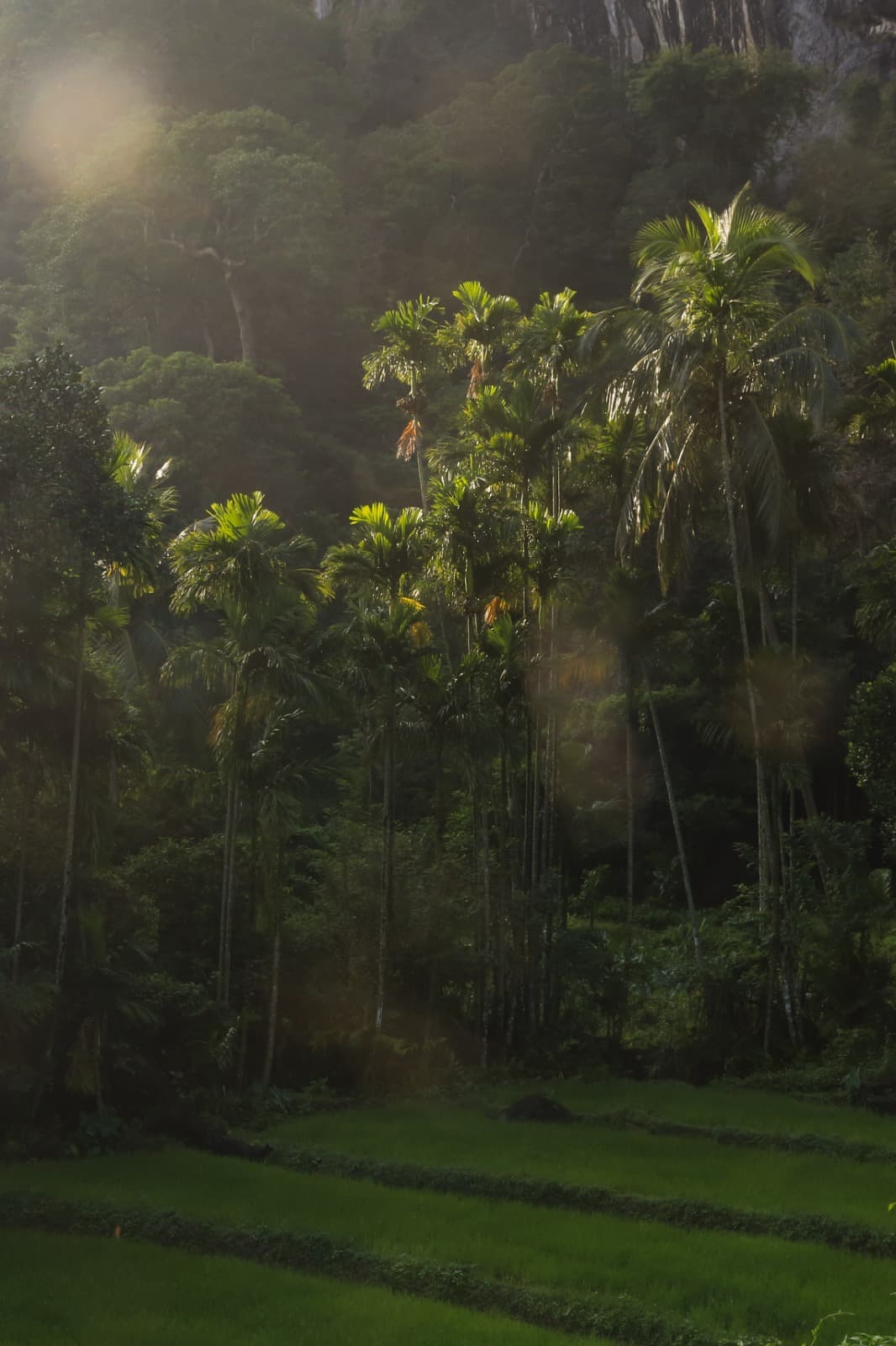 Lakegala Farms landscape