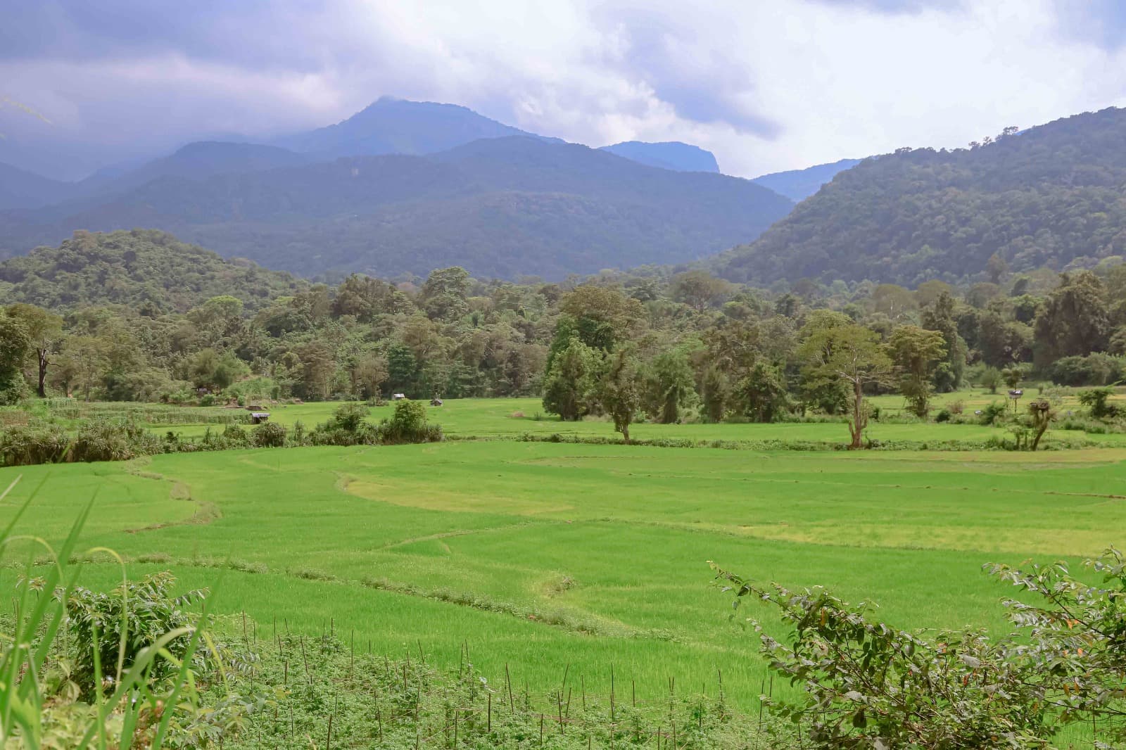 Lakegala Farms landscape